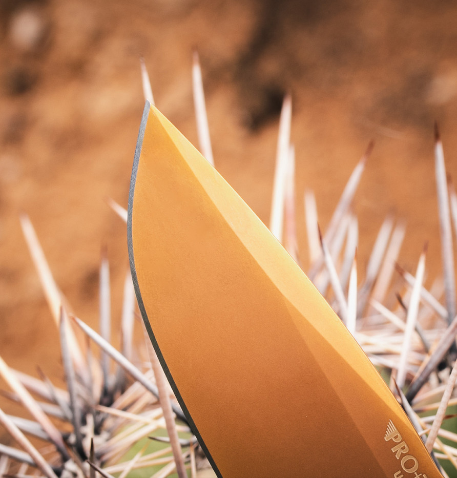 Rockeye - 2026 Exclusive 003