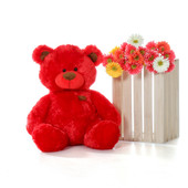 Super Soft Red 27 Inch Tall Big Teddy Bear