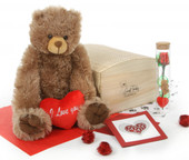 Heart Conqueror Mocha Teddy Bear Hug Care Package 18in
