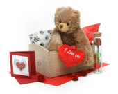 Hug Care Package 18in Mocha Brown Teddy Bear