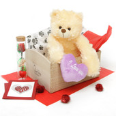 Heart Conqueror Cream Teddy Bear Hug Care Package 18in