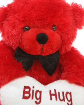 Red Teddy with White Big Hug Heart Close up