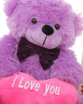 DeeDee Cuddles 18in Teddy Bear with Hot Pink I Love You Card