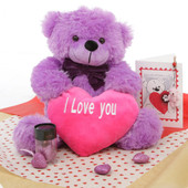 True Love Lavender Purple Teddy Bear Hug Care Package 18in