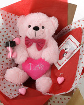 18in Pink Teddy Bear Hug Care Package
