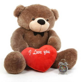 4ft Mocha Cuddles with I Love You Heart Package