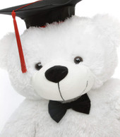 Super Soft White Teddy Bear in Graduation Cap and Black Bow