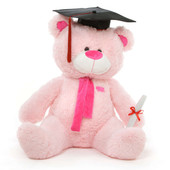 Sitting Position Graduation Teddy Bear in Pink