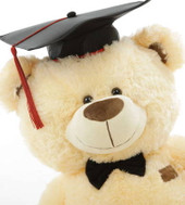 Vanilla Cream Colored Graduation Teddy Bear (Close Up)