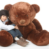 Buttercup Chubs Adorable Life Size Chestnut Teddy Bear 55in