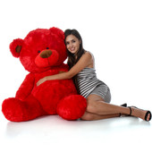 Huge Red Teddy Bear