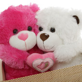 Super Soft Pink and White Teddy Bears with Pink Heart