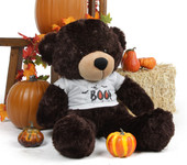 Brownie Cuddles is adorable in his Giant Teddy Halloween Shirt!