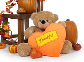 24 inch Shaggy Cuddles is a Giant Teddy bear holding a plush orange heart that says Thankful on it and makes a great Thanksgiving gift idea.