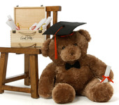 2.5ft Mocha  Big Chubs Teddy Bear with Graduation Cap & Diploma