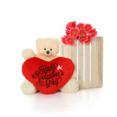 24in Tiny Tubs w Happy Valentine\'s Day Red Heart Pillow