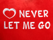 Never Let Me Go Heart Design (Close Up)