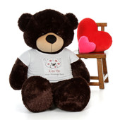 5ft Brownie Cuddles in Valentine's Day Kiss Me Shirt