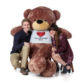 Special Valentine's Day Teddy Bear with Personalized Red Heart T-shirt