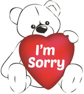 I\'m Sorry Teddy Bear T-shirt