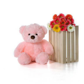 30in Cute Gigi Chubs Cotton Candy Pink Fur Stuffed Teddy Bear