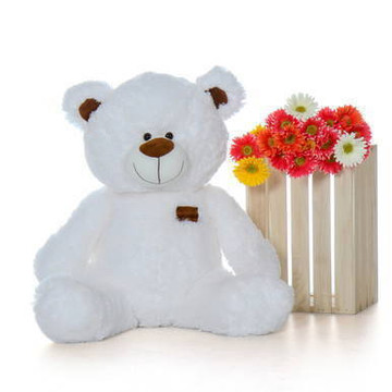 Super Cute Adorable White Shags Teddy Bear