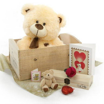 Love Doctor Bear Hug Care Package featuring 20\\\\\\\\\\\\\\\\\\\\\\\\\\\\\\\\\\\\\\\\\\\\\\\\\\\\\\\\\\\\\\\" BooBoo Shags