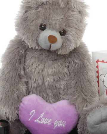 Gimme Some Lovin Grey Teddy Bear Hug Care Package 18in