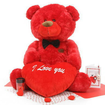 Bear Hug Care Package featuring Randy Shags Red 37in