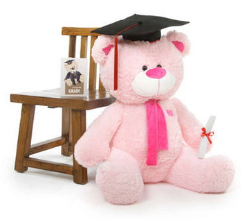 Lulu G Shags Giant Pink Graduation Teddy Bear 35in
