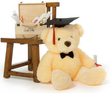 2.5ft Huge Cream Smiley Chubs Teddy Bear with Graduation Cap & Diploma