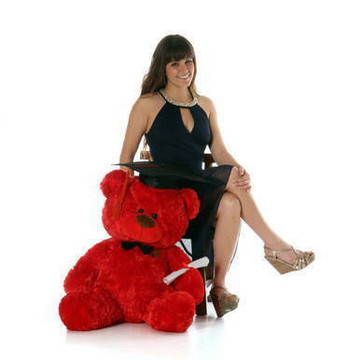 Red 35in Graduation Teddy Bear Randy Shags with cap and diploma