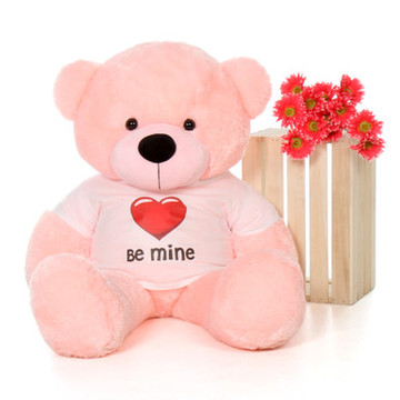 4ft Pink Lady Cuddles Giant Teddy with a Be Mine Valentine\'s Day T-Shirt