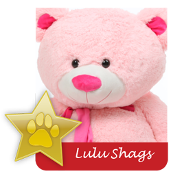 Lulu Shags famous giant teddy bear