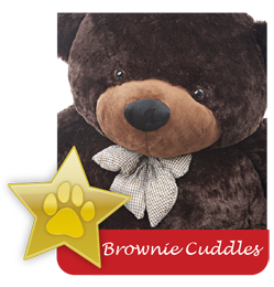 Brownie Cuddles famous giant teddy bear