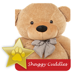 Shaggy Cuddles famous teddy bear