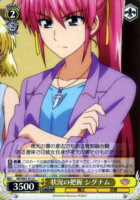 ND/W67-013 C - Signum, Understanding the Situation