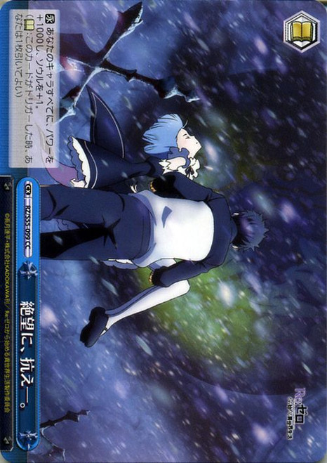 Defying Despair - RZ/S55-E099 CC