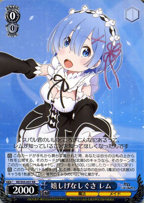 Seemingly Happy Behavior, Rem - RZ/S55-E057 RR