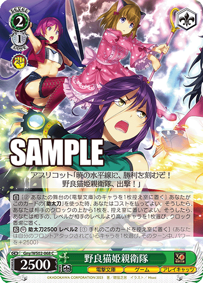 068 C/Gny/WS02 野良猫姫親衛隊