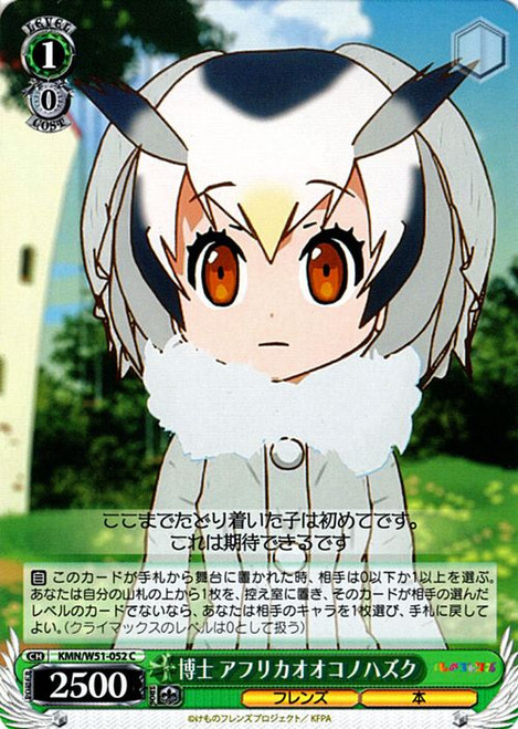 KMN/W51-052C - Northern White-faced Owl, Professor