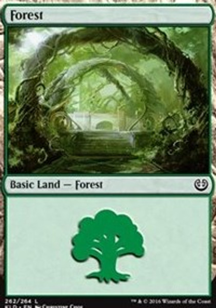 Forest (262) (Kaladesh) - Near Mint