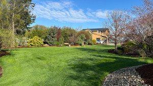 Lawn Care 101