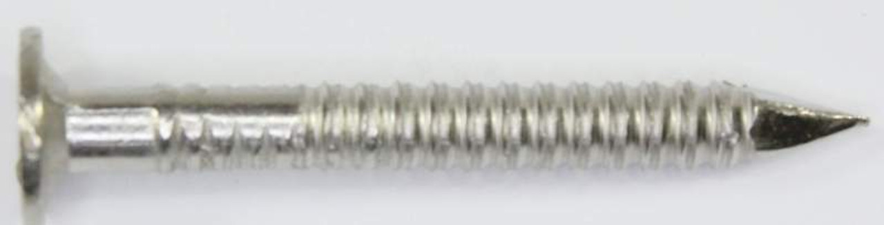 Stainless Steel (304) Vinyl Siding Nails