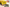 Image Quality you can trust