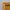 Casing