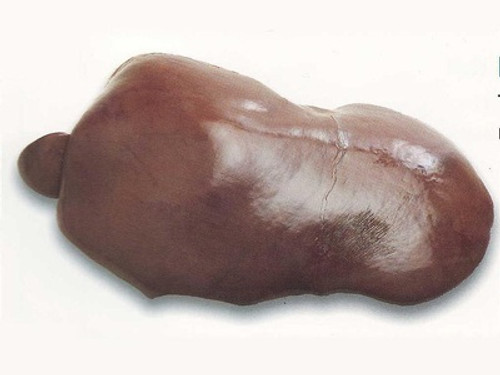 Picture of a Beef Liver Whole