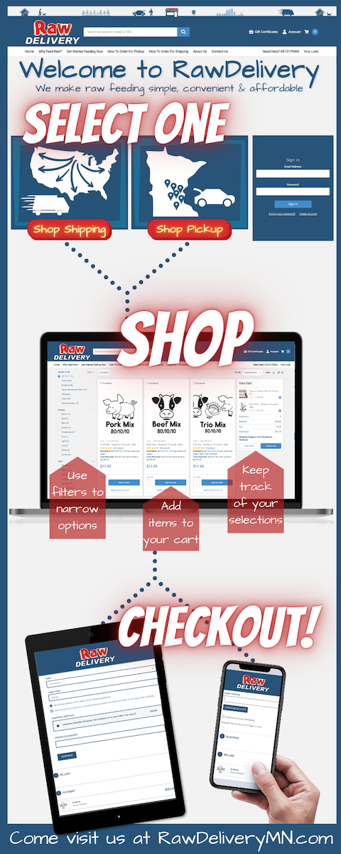 Infographic explaining how to order