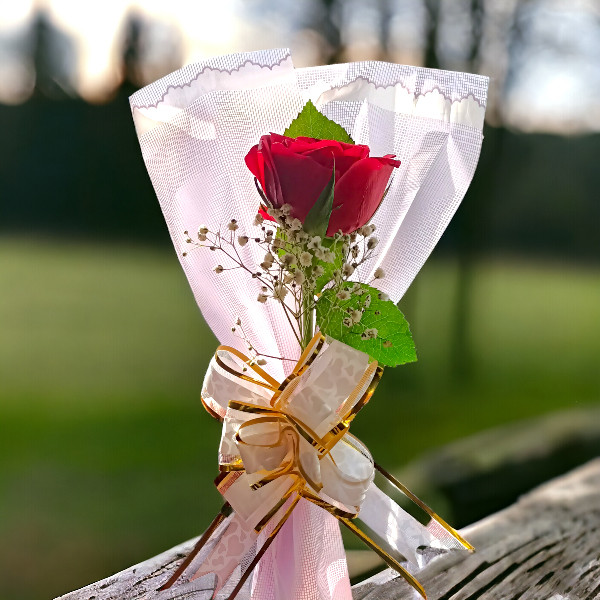 Rose Day Gifts Best Proposal Gift For Boyfriend Touch Of Love