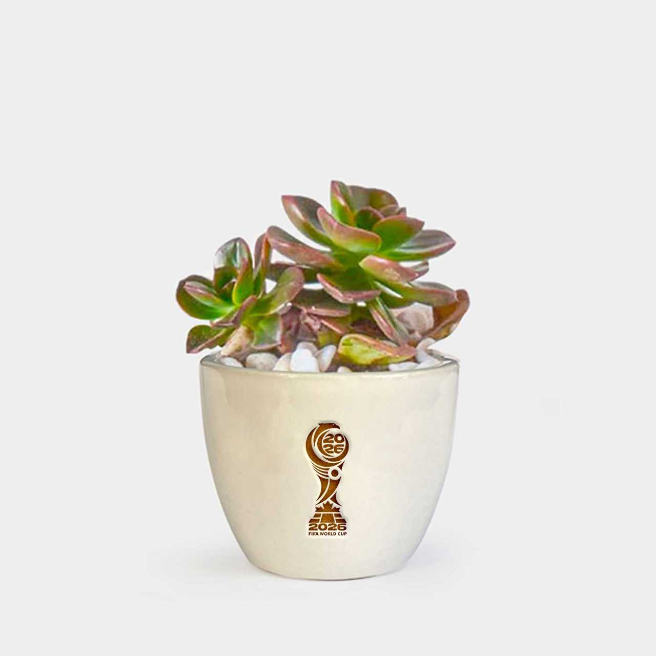 FIFA World Cup Trophy Engraved Ceramic Pot with Succulent Plant Gift to  Nepal | Giftmandu